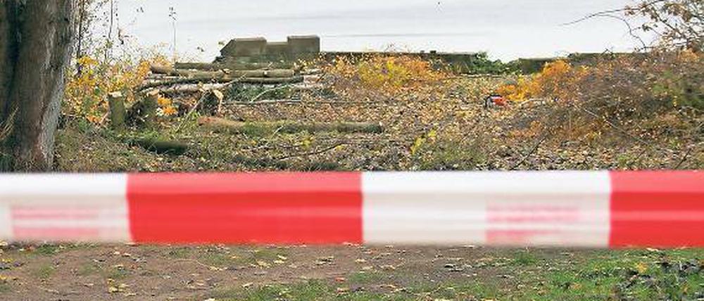 Bäume fallen für Kongsnaes. Die ersten Arbeiten auf dem Gelände der norwegischen Matrosenstation an der Schwanenallee haben gestern begonnen  zum Unmut der Anwohner-Initiative, die gegen die Dimensionen des Projekts juristisch vorgehen. 