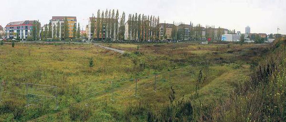 Entwicklungsgebiet. Die Gewerbeflächen im Kirchsteigfeld sollen künftig Einzelhandelsfläche werden. Ein Projektentwickler plant eine Shopping-Mall mit eigenem Autobahnanschluss an die A 115. Ein Gutachten soll erarbeitet worden sein, das die Auswirkung auf den Potsdamer Einzelhandel untersucht.