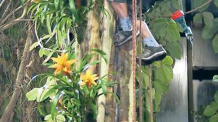 Drahtseilakt. Der Betrieb der Biosphäre ist für die Stadt ein Zuschuss-Geschäft. In den letzten Jahren sind mehrere Millionen Euro in Erhalt und Betrieb der Halle geflossen.