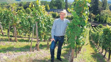 Winzer-Azubi. TV-Moderator Günther Jauch auf dem Hausberg seines Weinguts in Kanzem an der Saar. Für den Potsdamer ist es wie eine Heimkehr: Schon als kleiner Junge hat er auf dem Weingut von Othegraven in Kanzem an der Saar gespielt.