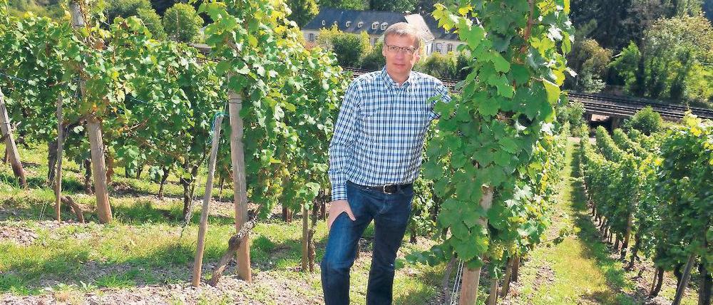 Winzer-Azubi. TV-Moderator Günther Jauch auf dem Hausberg seines Weinguts in Kanzem an der Saar. Für den Potsdamer ist es wie eine Heimkehr: Schon als kleiner Junge hat er auf dem Weingut von Othegraven in Kanzem an der Saar gespielt.