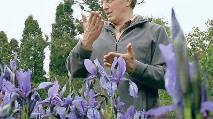 Seltene Bestände. Der Kustos des Botanischen Gartens, Michael Burkart, vor einem Feld mit Sibirischen Schwertlilien, von denen es in Brandenburg nur noch wenige Populationen gibt. Das letzte lebende Exemplar einer Population von Wiesenküchenschellen (l.u.) fand Burkart auf einem westhavelländischen Moränenhügel. Von der Sand-Pfingstnelke (l.o.) gibt es weltweit nur noch vier wildlebende Populationen, zwei davon in Brandenburg und zwei in Polen.