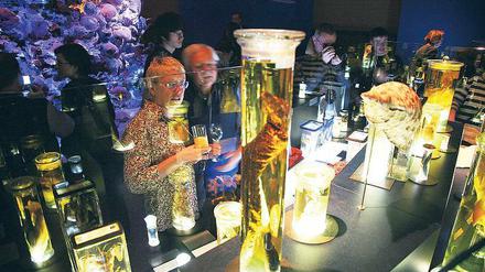 Besonders präsentiert. Sonderausstellungen wie diese über Meerestiere aus dem Jahr 2008 wird es im Naturkundemuseum auch künftig geben. Doch die in Alkohol schwimmenden Exponate können jetzt auch gesammelt in einem Raum im neuen Ostflügel präsentiert werden.