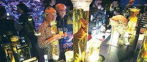 Besonders präsentiert. Sonderausstellungen wie diese über Meerestiere aus dem Jahr 2008 wird es im Naturkundemuseum auch künftig geben. Doch die in Alkohol schwimmenden Exponate können jetzt auch gesammelt in einem Raum im neuen Ostflügel präsentiert werden.