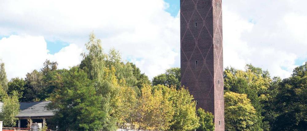 Ein weites Feld. Das ehemalige Kasernengelände in PotsdamKrampnitz ist seit dem Abzug der sowjetischen Armee völlig heruntergekommen. Offenbar wurde die Landesregierung beim Verkauf des 110-Hektar großen Areals vom Käufer ausgetrickst.