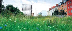 Umkämpftes Gebiet. Der ehemalige Mauerstreifen in Mitte.