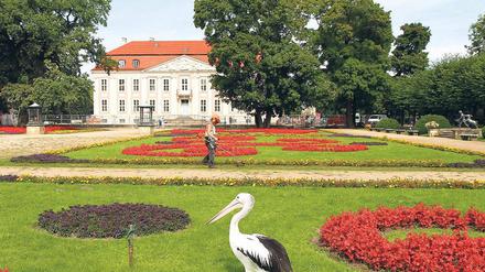 Schmuckstück. Das Schloss Friedrichsfelde ist restauriert  jetzt muss nur noch der Brunnen vorm Eingang fertig werden.