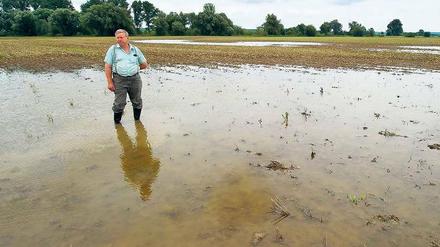 Überschwemmt. Der Landwirt Manfred Hauche aus Neuranft (Märkisch-Oderland) begutachtet eine unter Wasser stehende Ackerfläche. Die Landwirte könnten im Oderbruch weder ernten noch mit der Rapsaussaat beginnen.