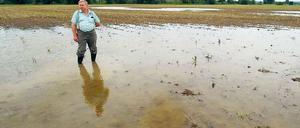 Überschwemmt. Der Landwirt Manfred Hauche aus Neuranft (Märkisch-Oderland) begutachtet eine unter Wasser stehende Ackerfläche. Die Landwirte könnten im Oderbruch weder ernten noch mit der Rapsaussaat beginnen.