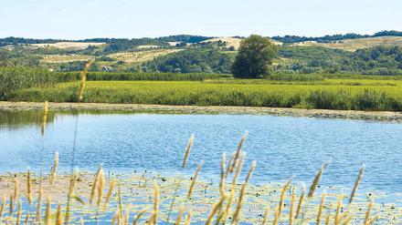Planschen macht Spaß. Vor allem auf die brandenburgischen Seen haben es Urlauber abgesehen. In einem bundesweiten Vergleich landen gleich vier märkische Gewässer auf den ersten vier Plätzen. Selbst der beliebte Chiemsee hat da das Nachsehen.