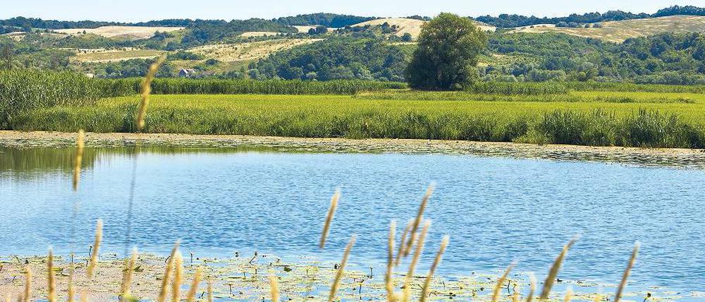 Planschen macht Spaß. Vor allem auf die brandenburgischen Seen haben es Urlauber abgesehen. In einem bundesweiten Vergleich landen gleich vier märkische Gewässer auf den ersten vier Plätzen. Selbst der beliebte Chiemsee hat da das Nachsehen.