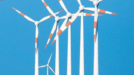 Hart am Wind: Schutzgebiete werden für erneuerbare Energien geöffnet.