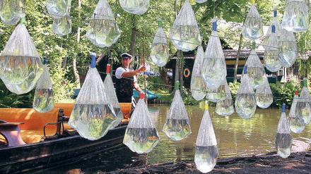 Drop by Drop. Installation der italienischen Künstlerin Anna Maria Massa: Mit Wasser gefüllte Plastikbeutel sollen auf die Knappheit des Rohstoffs hinweisen.