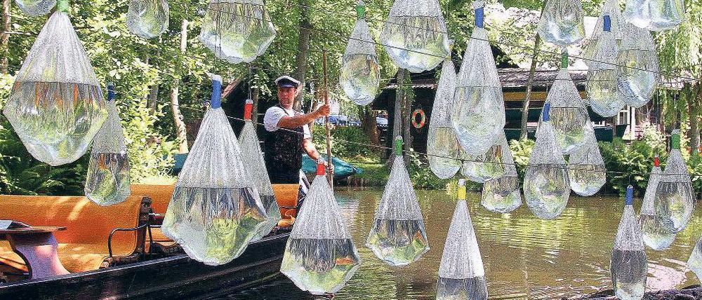 Drop by Drop. Installation der italienischen Künstlerin Anna Maria Massa: Mit Wasser gefüllte Plastikbeutel sollen auf die Knappheit des Rohstoffs hinweisen.