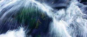 Spreefluten. Brandenburg bereitet sich auf das Hochwasser vor.