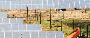 Solarpaneele so weit das Auge blickt. Ein neuer Solarpark ist am Freitag auf einem ehemaligen Kasernengelände in Spremberg eingeweiht werden. In das neue Solarkraftwerk wurden rund 16 Millionen Euro investiert.