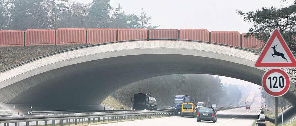 Beispielhaft. In der Uckermark gibt es bereits eine Brücke für Wildtiere.