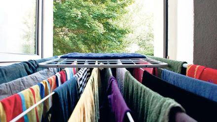 Das könnte eng werden. Viel Platz bliebe den Hartz IV-Empfängern nicht  wenn sich die Idee von den Mini-Wohnungen durchsetzen sollte. Aber selbst wenn: Es gibt so kleine Wohnungen so gut wie gar nicht in der Region.