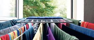 Das könnte eng werden. Viel Platz bliebe den Hartz IV-Empfängern nicht wenn sich die Idee von den Mini-Wohnungen durchsetzen sollte. Aber selbst wenn: Es gibt so kleine Wohnungen so gut wie gar nicht in der Region.