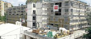 Wohnen für Senioren: Die Seniorenresidenz der Procurand, nach eigenen Angaben der größte private Träger von Senioreneinrichtungen im Land Brandenburg, soll im Frühjahr 2011 eröffnet werden. Der Rohbau ist bereits fertig.