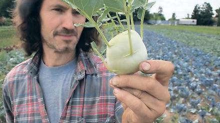 Wettlauf mit der Zeit: Rund um die Uhr ist Axel Szilleweit mit der Bewässerung seiner Felder beschäftigt, doch die Hitze hat deutliche Spuren hinterlassen. Das Gemüse gibt es im Miniaturformat, der Salat ist in die Blüte geschossen.