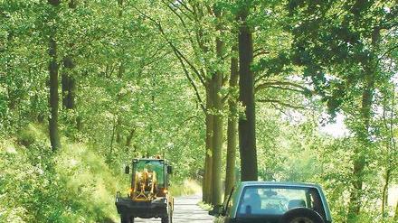 Wer fährt zuerst? Auf der Straße nach Ferch kann es eng werden.