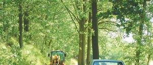 Wer fährt zuerst? Auf der Straße nach Ferch kann es eng werden.