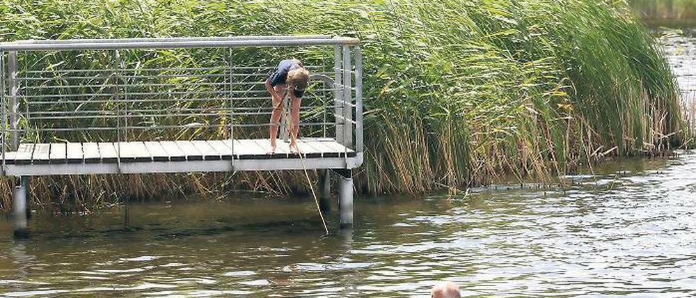 Idylle am Güterfelder See: Am Wochenende ist auch hier mit dem Ansturm des Badegäste zu rechnen.