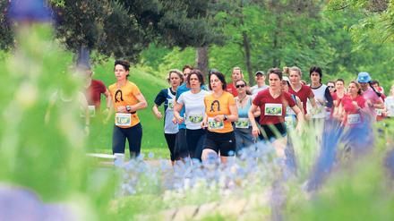 Durch den Potsdamer Volkspark. Beim gestrigen Frauenlauf des Potsdamer Laufclubs gewannen Lea Schaepe und Juliane Straub vom ausrichtenden Verein über fünf beziehungsweise zehn Kilometer.