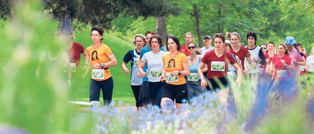 Durch den Potsdamer Volkspark. Beim gestrigen Frauenlauf des Potsdamer Laufclubs gewannen Lea Schaepe und Juliane Straub vom ausrichtenden Verein über fünf beziehungsweise zehn Kilometer.