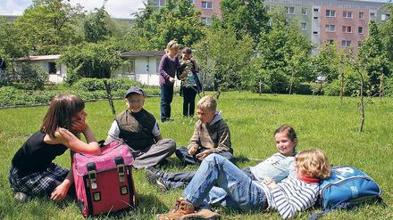 Grüne Oase im Platten-Kiez: Schüler der Grundschule am Humboldtring genießen die Sonne auf der frisch erweiterten Streuobstwiese. Deren Früchte bereichern die Küche der Einrichtung, die Wiese selbst dient aber auch dem Unterricht.