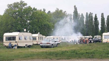 Hier parken in der kommenden Woche die Silbermond-Fans: Die Roma mit ihren Wohnwagen und Autos auf dem Gelände am Volkspark, bevor sie gestern auf eine Wiese am Nedlitzer Holz wechselten.
