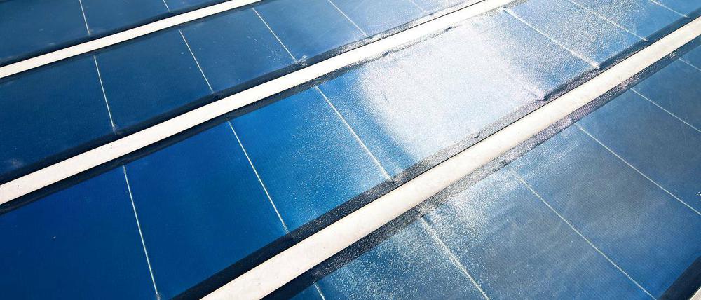 Zukunftsfähige Investition. Der AStA will in Golm Solarzellen installieren.