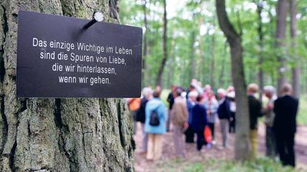 Bestattet im Wald In Fürstenwalde gibt es bereits einen Friedwald.
