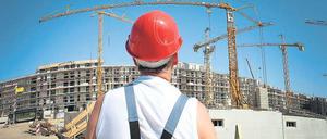 Wohnungsneubau. Ein kommunales Wohnungsprogramm wird es nicht geben. Die Kosten für den Neubau von 1000 Wohnungen würden laut Stadtplanern zwischen 116 und 153 Millionen Euro betragen zu viel für die Landeshauptstadt. Der Druck auf den Wohnungsmarkt wächst, nun wird nach anderen Wegen gesucht.