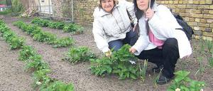Getestet und für gut befunden: Andrea Rux und Bärbel Walter im TWS-Garten.