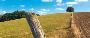 Weites Land. Brandenburg wird in den nächsten 20 Jahren menschenleerer.