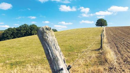 Geteiltes Land. Aus der Diskussion um die Folgen der Zwangskollektivierung leiten die Grünen über zur Agrarstrukturdebatte.
