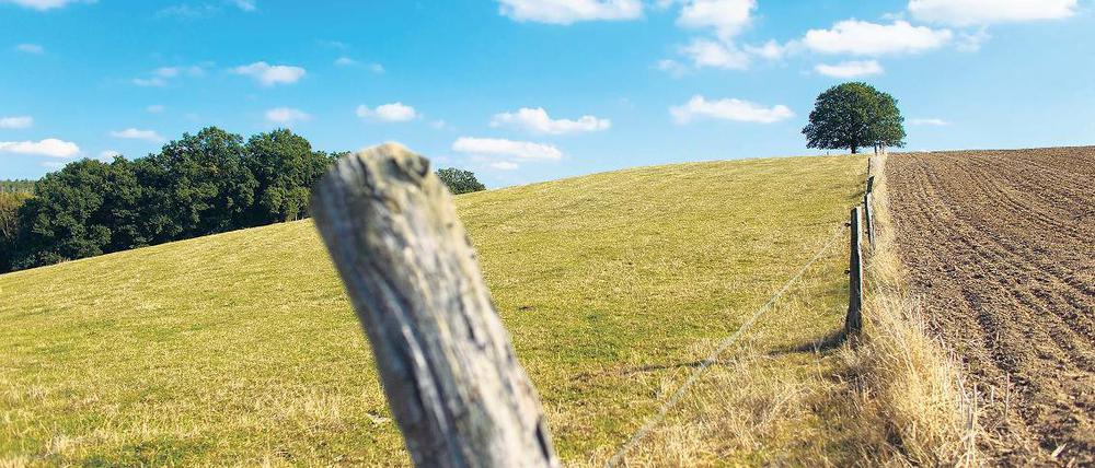 Geteiltes Land. Aus der Diskussion um die Folgen der Zwangskollektivierung leiten die Grünen über zur Agrarstrukturdebatte.
