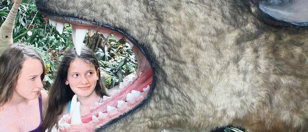 Was für Zähne. Celine und Alina bestaunen das hyänenähnliche Urraubtier.