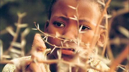 Bewältigung der Vergangenheit. Junge Filme aus Südafrika stellen sich dem Erbe der Apartheid, sie gehen in die Slums und legen den Finger in die Wunden (hier The Tunnel).