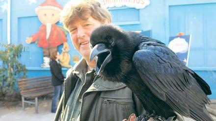 Fester Bestandteil im Filmpark-Programm ist auch in dieser Saison die beliebte Tiershow. Mit dem Raben dürfte es Tiertrainer Gerhard Harsch leicht haben  gelten diese doch als besonders intelligent.