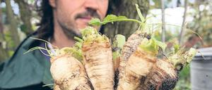 Der einzige Rübchenbauer. Axel Szilleweit verspricht: Eine einzigartige Mischung aus Süße und Schärfe, Kohlrüben- und Rettichnote und einem bestimmten mehligen Mundgefühl.