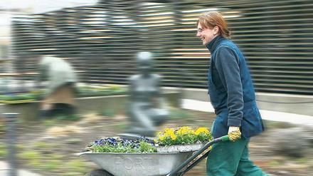 Im Laufschritt. Hornveilchen, Vergissmeinnicht und Tausendschönchen für eine blühende Freundschaftsinel.