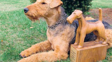 Siegernase: Gina mit ihrem Pokal, der sie als sportlichster Terrier in Deutschland ausweist.