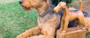 Siegernase: Gina mit ihrem Pokal, der sie als sportlichster Terrier in Deutschland ausweist.