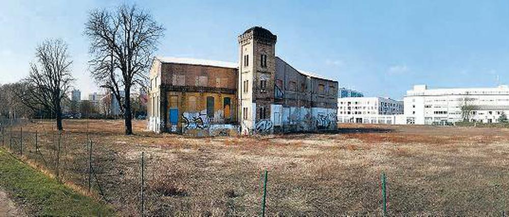Viel Platz: Das Grundstück der TLG bietet mit 23 000 Quadratmetern einiges Potenzial für Neubauten, die maximal fünfgeschossig sein dürfen. Das seit Jahren leer stehende, frühere Fabrikgebäude aus der Gründerzeit aber muss erhalten werden. Es steht unter Denkmalschutz.