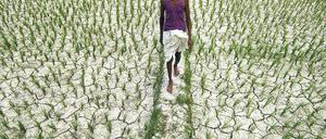 Klimafreundliche Botschaften. Die Medien sollen dabei helfen, über die Risiken des Klimawandels aufzuklären. Dafür haben HFF und PIK die Climate Media Factory gegründet.