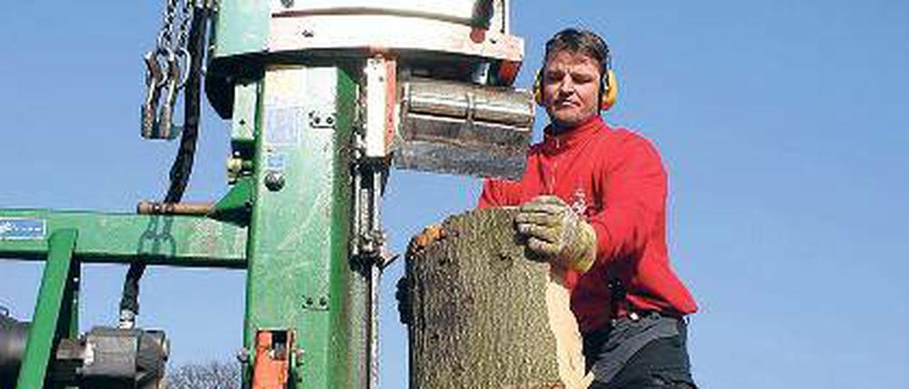 Gut Holz: Mit dieser Maschine können große Blöcke gespalten werden.