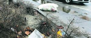 Vom Sturm verweht wurden die gelben Säcke auch in Michendorf.